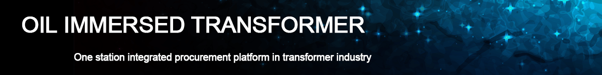 Oil immersed transformer